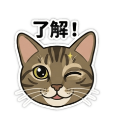 TORORO_20260427192032