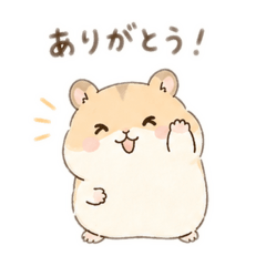 miico_20260427194151