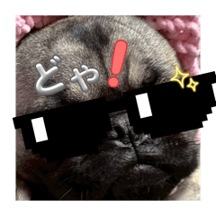 Kiara_20260427200311