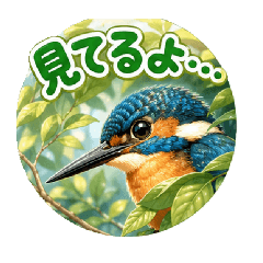 FujiNito_20260427200430