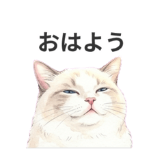 tanaka_20260427220421