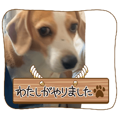 kou5577_20260427215836