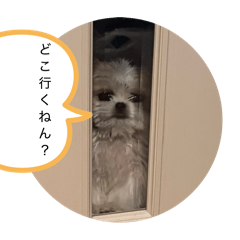 TAKASHI MIYAMOTO_20260427215545