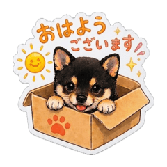 violet_20260427215950