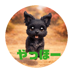 Haku.Muu_20260427220250