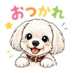 popola_20260427220244