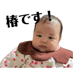 potato_20260427220429