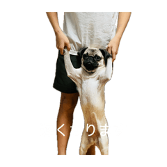 perobon_20260427231222