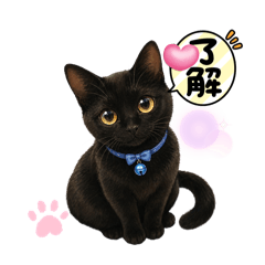 kyopy_20260427231215