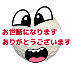shingo_20260427231807