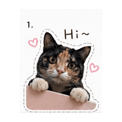 日常可愛表情貼