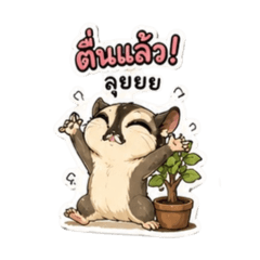 Berkfa_20260427142406