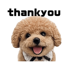 shiraishi3_20260428094308