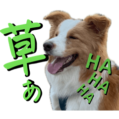 NakamuraRudo_20260428094517