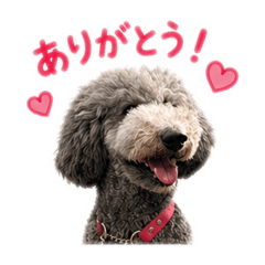 kimagure_20260428094959