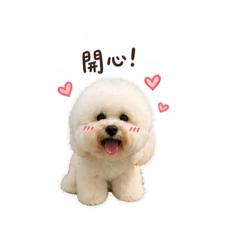 Kirby1140309