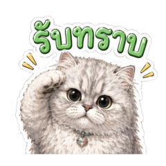 Kiranayami_20260427145208