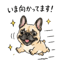 French Bulldog Fawn Stickers 1.