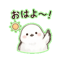 Shima-chan- Daily Chat Stickers
