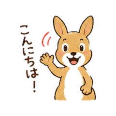 kangaroo - Everyday Talk