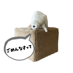 Alice_20260427223310