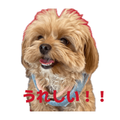 LATTE maman_20260427223200