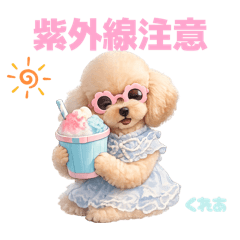 DOG STAMP ORDER_20260427223741