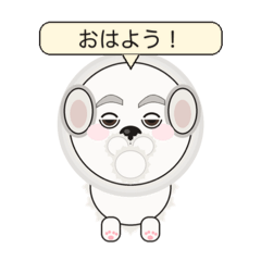 shifon_20260427223559