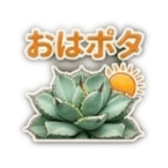 agave love