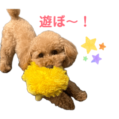 MELO_20260427235516