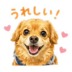 Happinessaroma_20260428105517