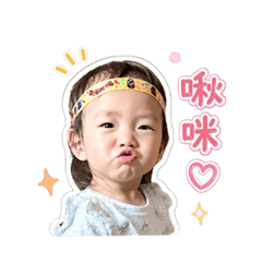 欣表妃鳴