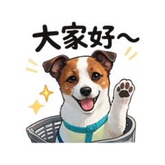 可愛い犬　愛ちゃん