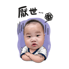 寶貝鵝祖