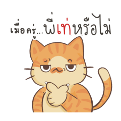 Som The orangee cat