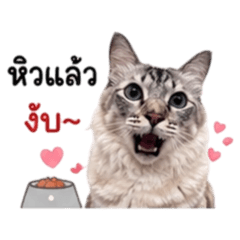 Maprang_20260427145855