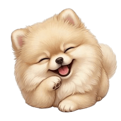 Chubby Wriggling Pomeranian (ANMZ)