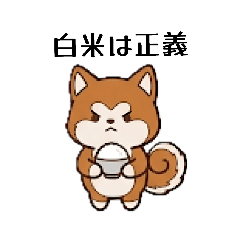 KAGERU_20260427181902