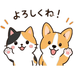 Calico Cat & Corgi Best Friends