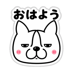 yoo26_20260427205753