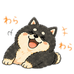 COCO STUDIO_20260427201938