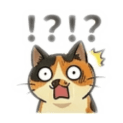 mamiko_20260428115636