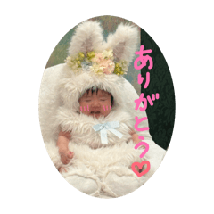 osakana_20260428115515