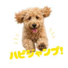 Hapidoodle_20260428114835