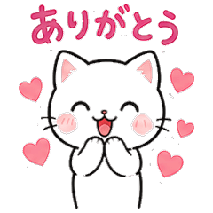 Cats Daily Chat Stickers