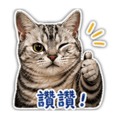 咖灰初代貼圖！