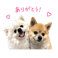 Best Pom Pals 1(Sticker Style)