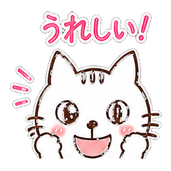 Shironeko-kun's Feelings