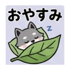 kukuri_20260427212003