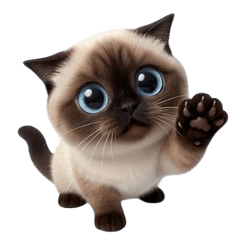 Wriggling Siamese Cat (ANMZ)